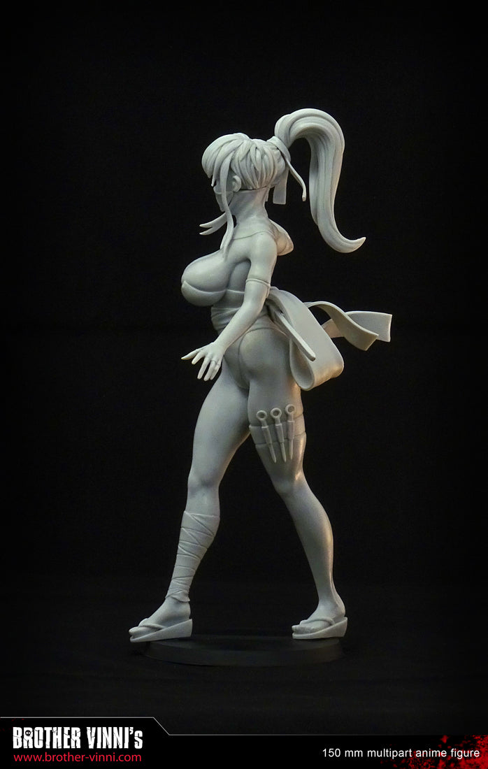 Anime Ninja Girl figurine