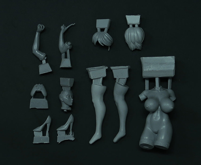 Copy of Anime Lady figurine garage kit