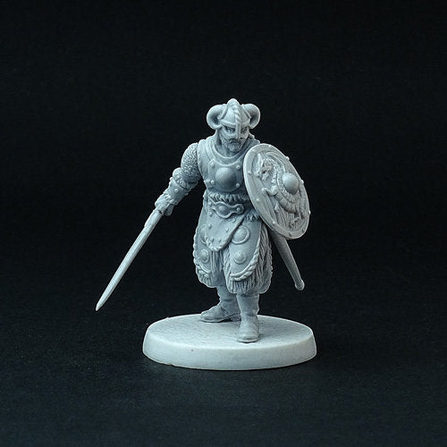 Dragon Slayer miniature, fantasy hero, wargame SAGA resin miniature 28mm