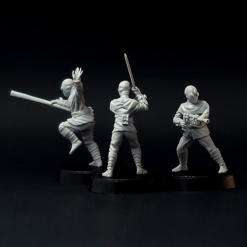 Noodle Clan Ninjas, 28mm miniature set