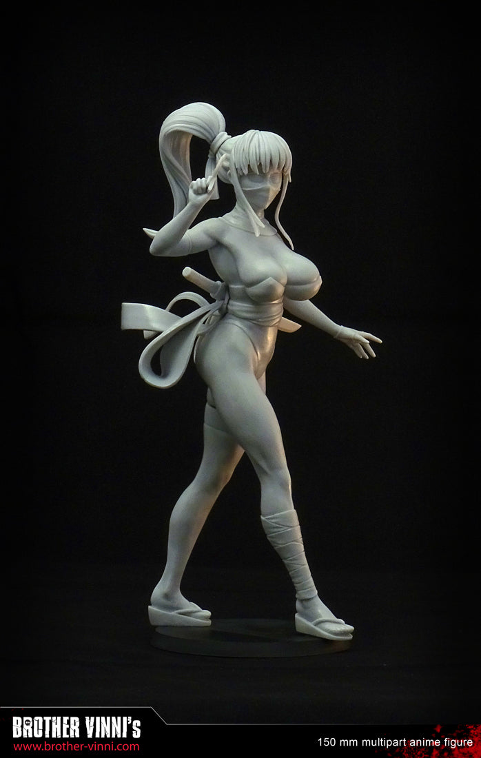 Anime Ninja Girl figurine