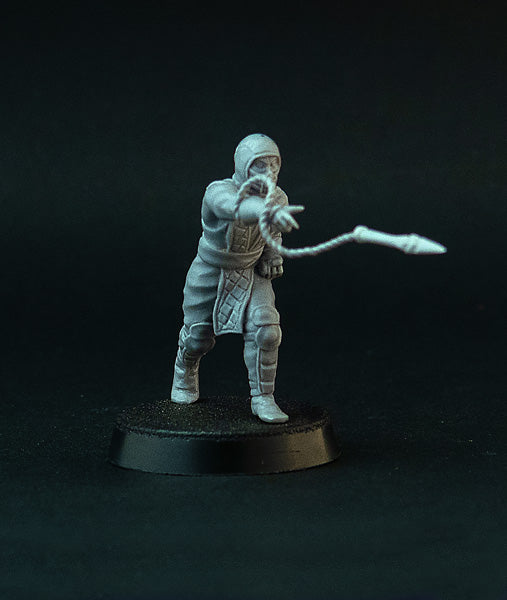 Wicked Ninja miniatures 28mm fantasy