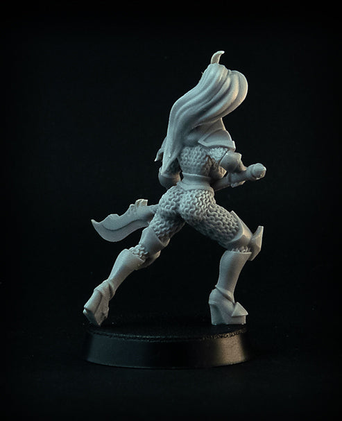 Dungeon Guard miniatures, 28 mm resin female fantasy