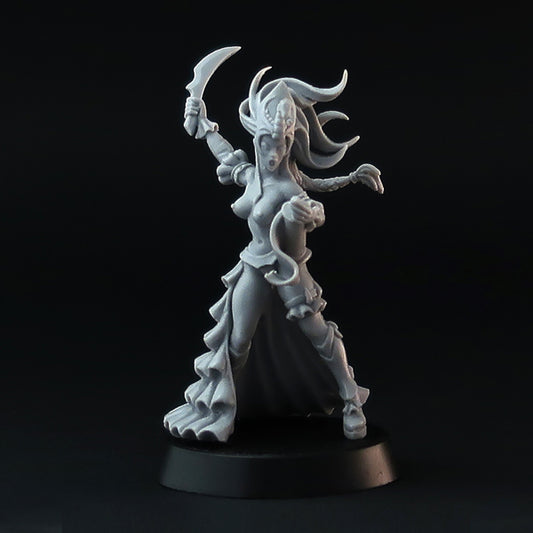 Brother Vinni Shield Maiden Wargame Miniature Saga 28 mm, résine Brother Vinni Shield Maiden Wargame Miniature Saga 28 mm, résine