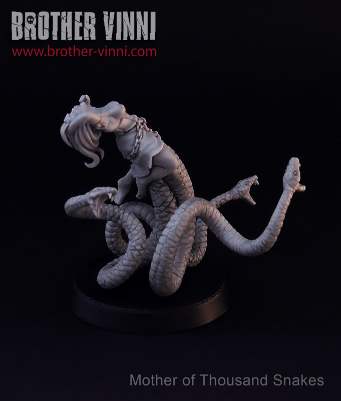 Dark Sorceress, witch, fantasy wargame miniature Brother Vinni's webstore