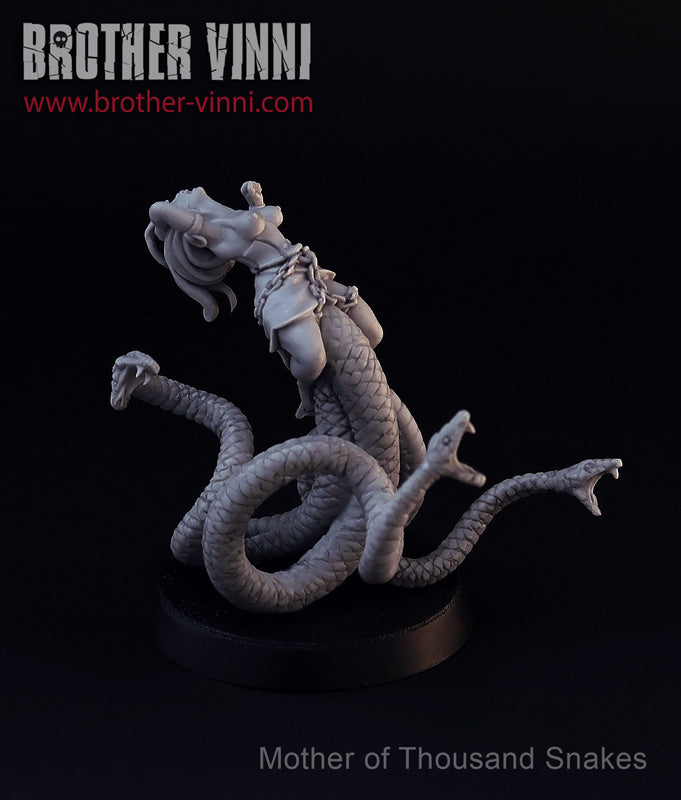 Dark Sorceress, witch, fantasy wargame miniature Brother Vinni's webstore