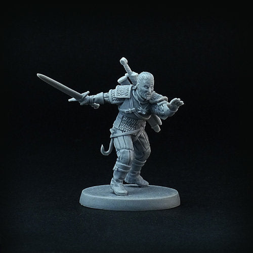 Monster Hunter miniature, fantasy 28mm resin - Brother Vinni's web store