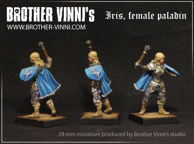 Female Paladin (Knight) miniature - resin 28mm for tabletop RPG