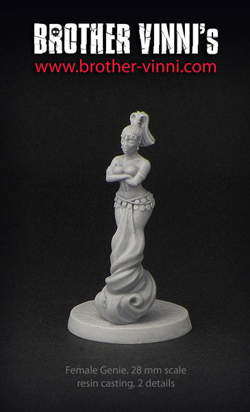 Female Genie (Djinn) Miniature for DnD, Dungeons And Dragons, 28 mm by Brother Vinni