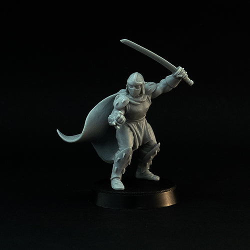 Schröder the Evil Ninja miniature